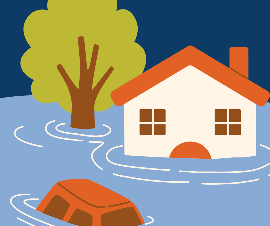 ONGs / OSCs Brasileiras na Vanguarda das Enchentes Deste Ano no Rio Grande do Sul image